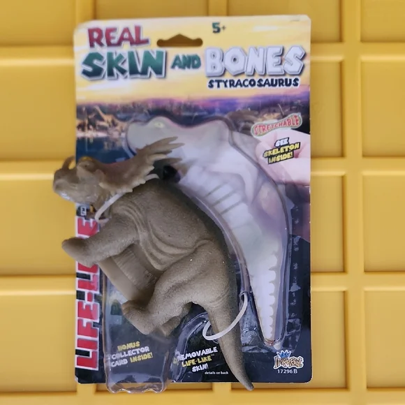 Styracosaurus Dinosaur Toy with Real Skin and Bones - Picture 1 of 5